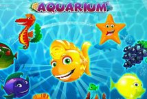 Aquarium slot